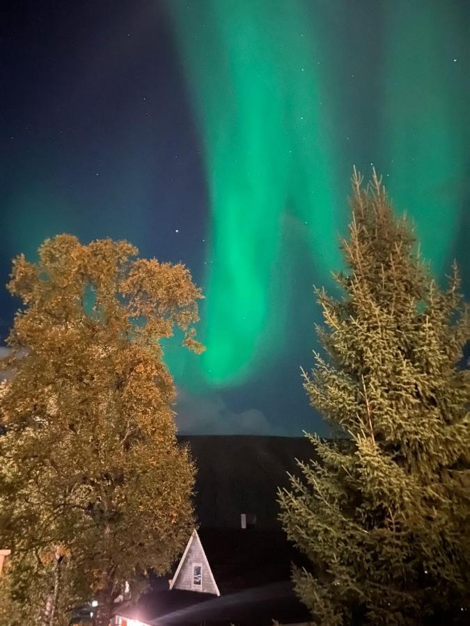 Tromso Arctic Villa With Free Parking Εξωτερικό φωτογραφία
