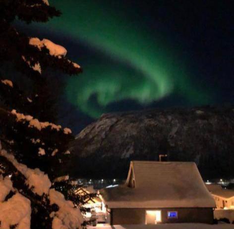 Tromso Arctic Villa With Free Parking Εξωτερικό φωτογραφία